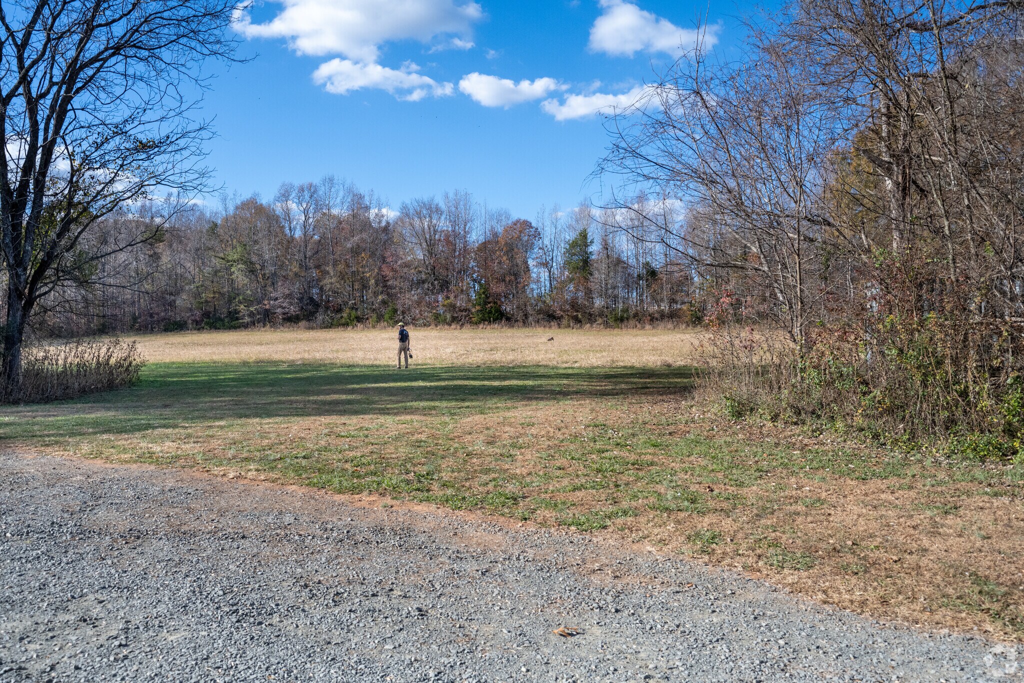 There is a huge space to run and play with your favorite canine at the Confluence Natural Area.
