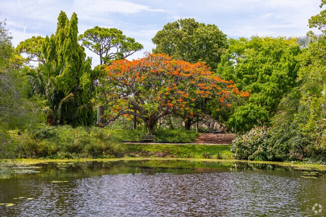 The Poinciana tree is one of the most beautiful trees you will see in Golfview Heights.