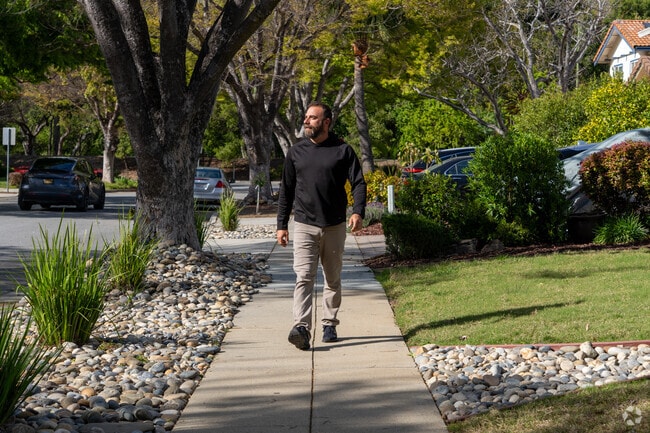 Mature trees and peaceful surroundings create a relaxing walking route through Shadow Brook.