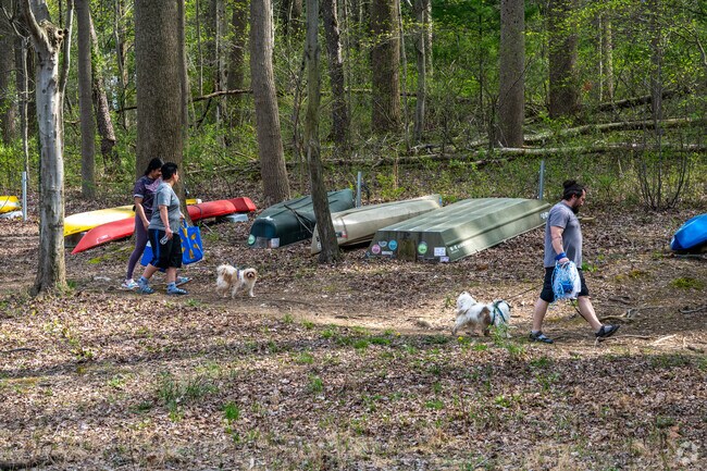Locals can walk their dogs at Scott's Cove Recreation Area in Scaggsville.