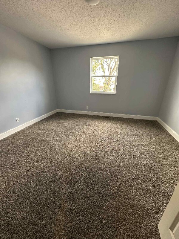 824 Tanner St, Sikeston, MO 63801 - photo 4