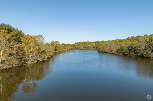 The Wolf River, an important regional waterway, flows along Shady Grove's northern border.