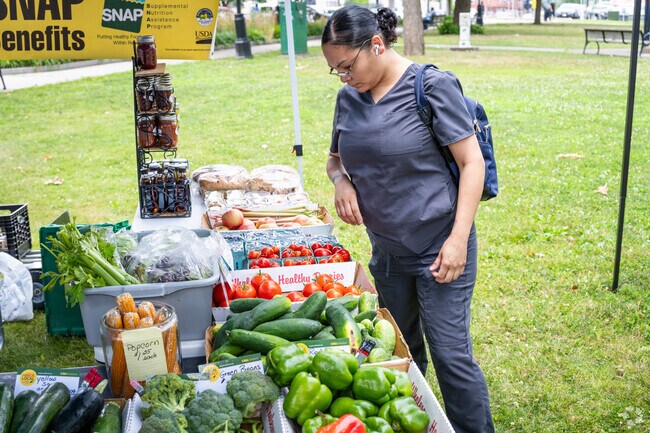 Fresh produce, artisan crafts, and gourmet bites await at Holyoke Farmers Market, MA.