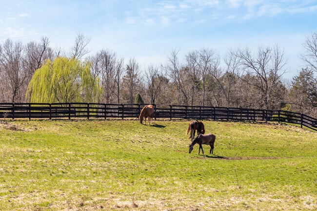 Cattle and horse ranches sprawl across the scenic landscape of Smithville-Sanders.