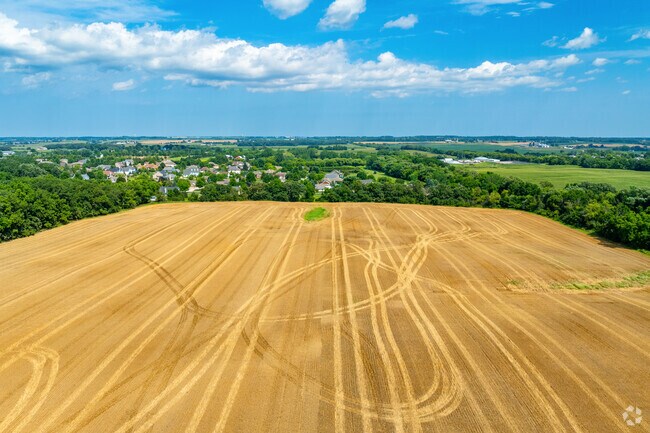 Union Grove’s rural landscape features expansive farmland and scenic views of the countryside.
