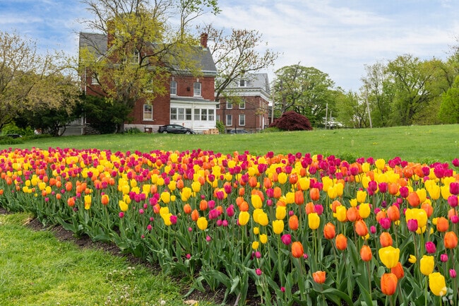 A tulip garden greets visitors at the entrance to Fort Totten Park in Bayside, Queens.