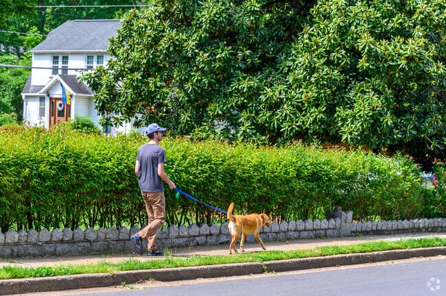 Virginia Hills is a dog-friendly community in Alexandria, Virginia.