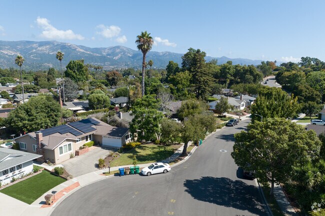Large palm trees are sprinkled throughout residential areas of Hidden Valley.