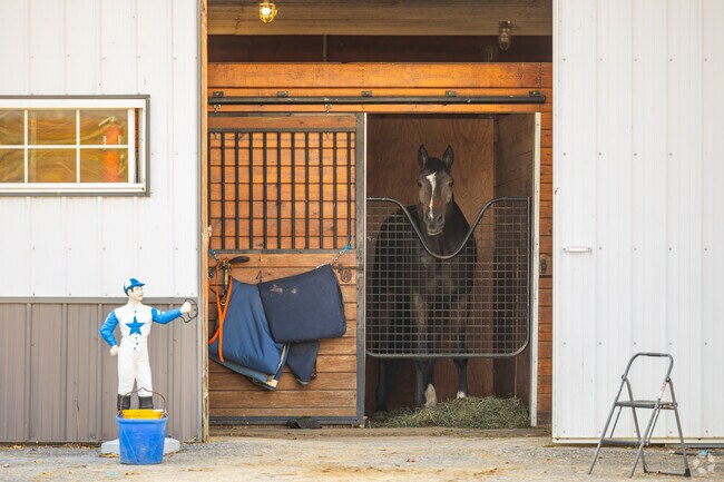 Equestrian centers fill the vast farms throughout the East Hanover Township.