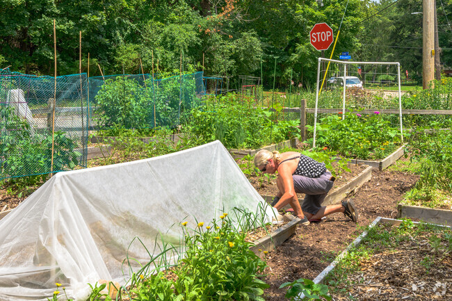 A West Main Hill resident tends her garden plot at Henderson Park.