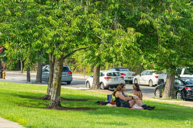Put a blanket down and relax in the shade at Drexel Park.