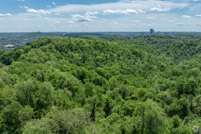 Girty's woods is a large plot of green space in Reserve Township.