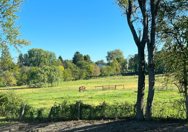 Meadows at Strasburg