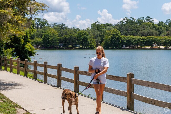 Walking dogs or just walking around the lake is a favorite activity for Lake Ella residents.