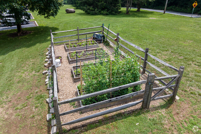 A community garden project teaches Beaumont Elementary School students about sustainability.