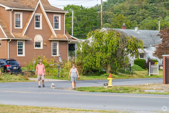 Dog walkers enjoy the quiet residential streets of Old Lycoming.