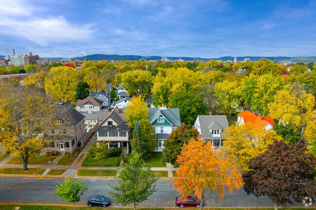 Tree-lined streets create a serene setting for historic Weigent-Hogan homes.