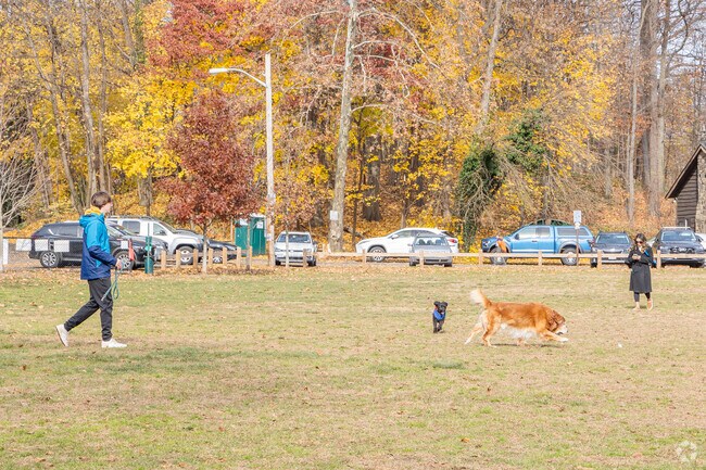 Scoutfield is usually busy with people walking their dogs.