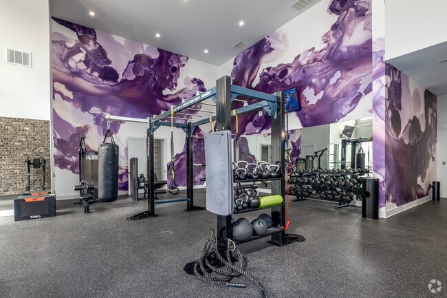 Tessa Matthews Homes, Townhomes and Apartments, Matthews, NC 28105 - photo 7