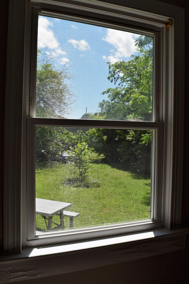 View from the dining room