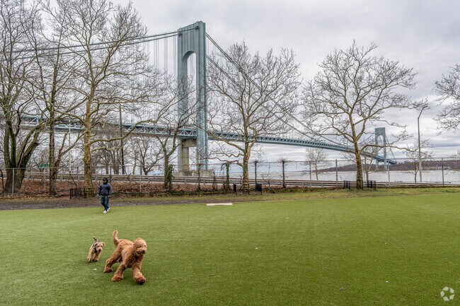 Frank Decolvenaere Dog Run in Fort Hamilton has plenty of space for dogs to run around.