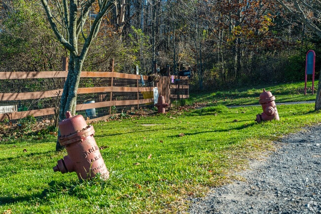 Residents of Clarks Summit can bring their pups to the Abdington Dog Park.