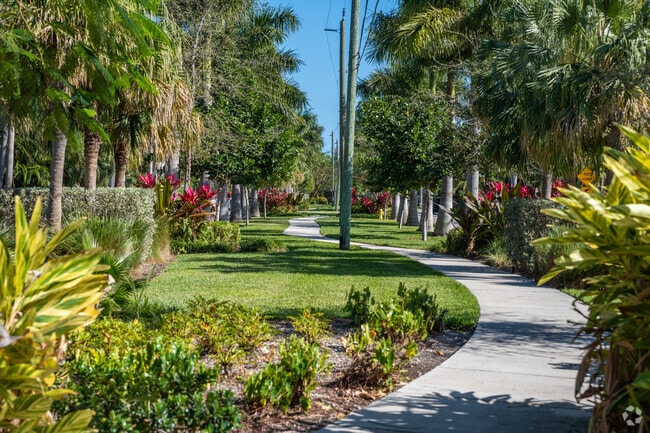 Palm Island paths offer scenic walks under lush tropical greenery.