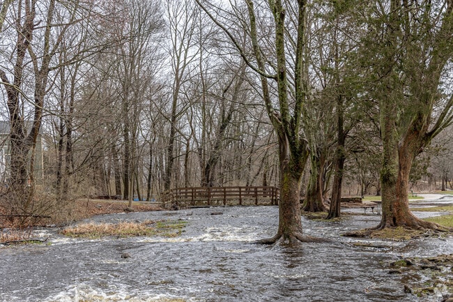 Beaver Brook in Warrendale is the perfect place to enjoy nature.