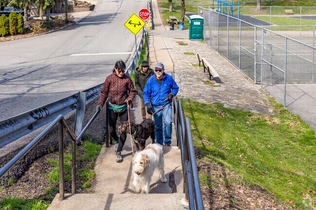 Take your best friends for a walk through Morningside.