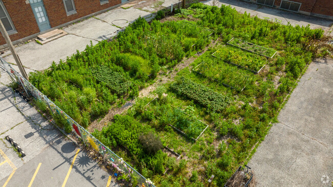 Hale Cook Elementary in Waldo has a community garden.