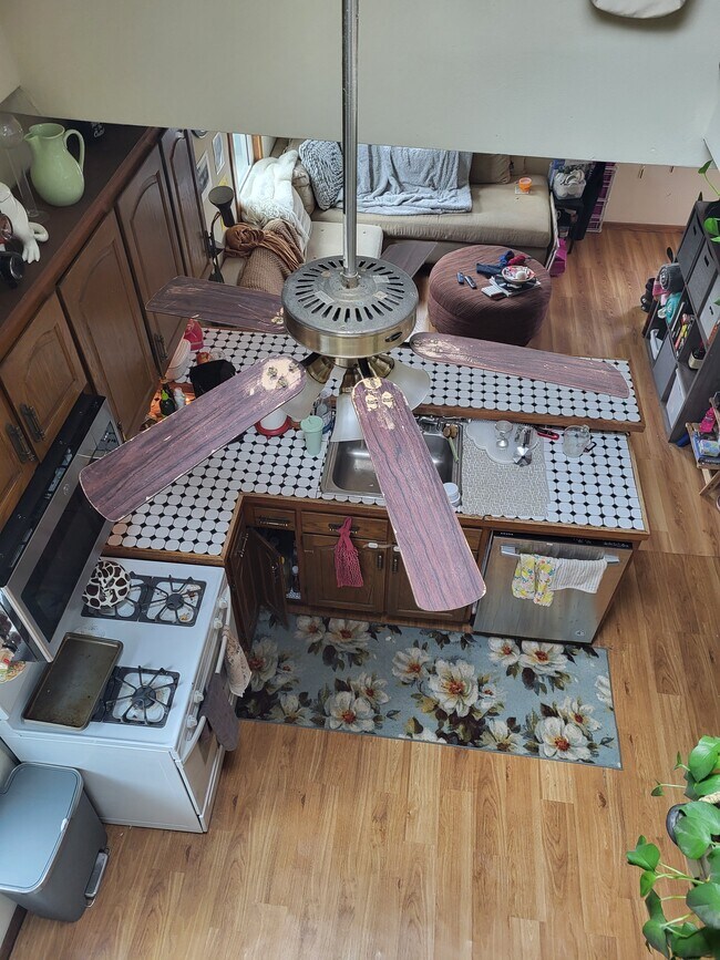 114 S Franklin St, Madison, WI 53703 - photo 6