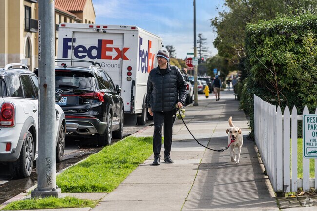 Enjoying a sunny walk with a four-legged friend on the sidewalk near Clearfield Park