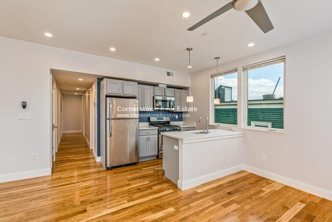 7 Alleghany St unit 3, Roxbury Crossing, MA 02120 - photo 2