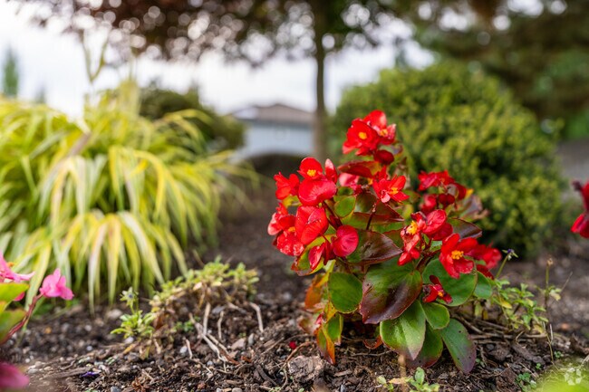 Life and beauty can be found throughout Thrasher’s Corner-Red Hawk.