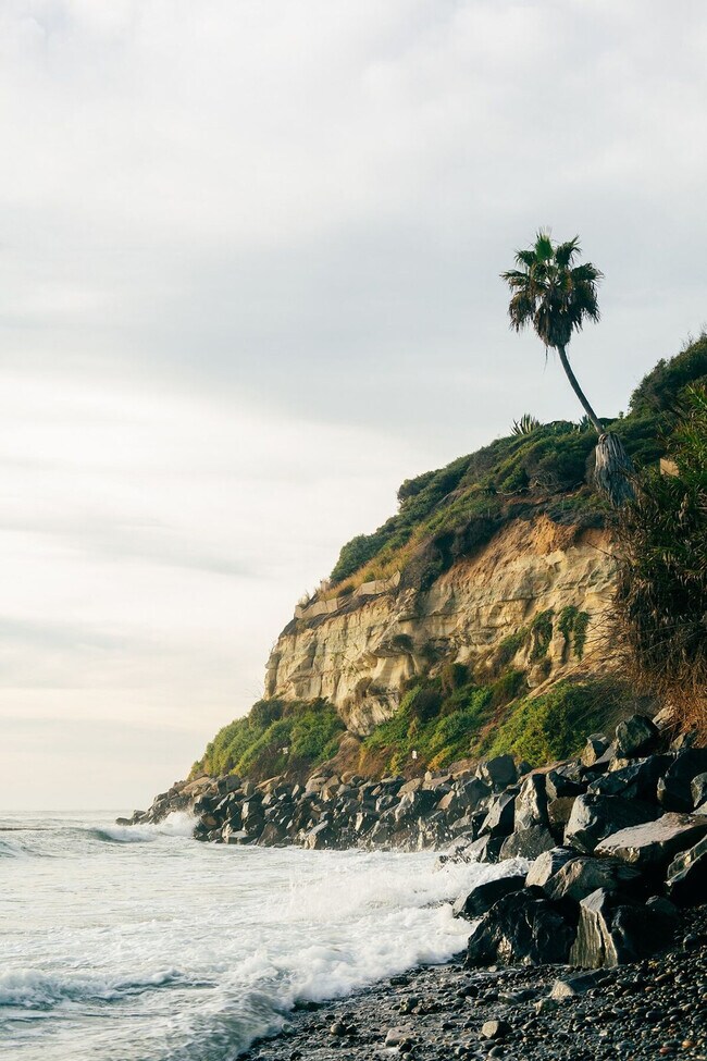 1574 Lorraine Dr unit ID1058617P, Encinitas, CA 92024 - photo 7