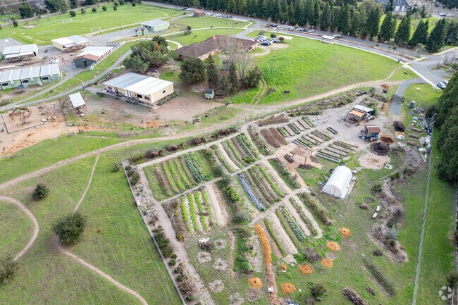 Sebastopol Independent Charter School offers a space where all people can learn and thrive.