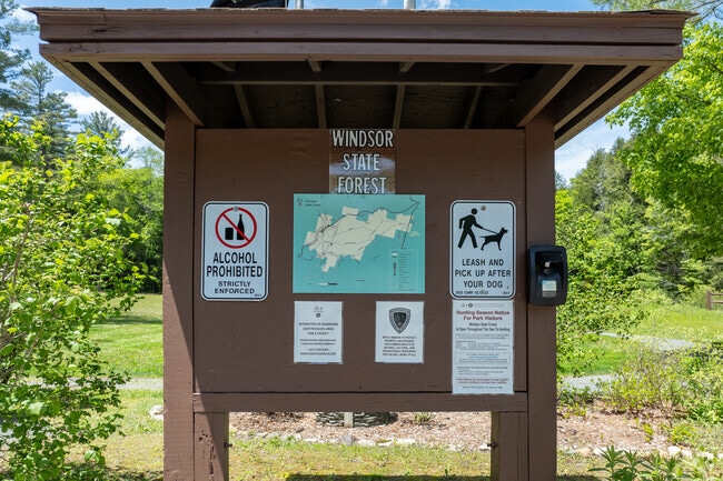 The Windsor State Forest is a great area to go for a hike or have a picnic with friends and family.