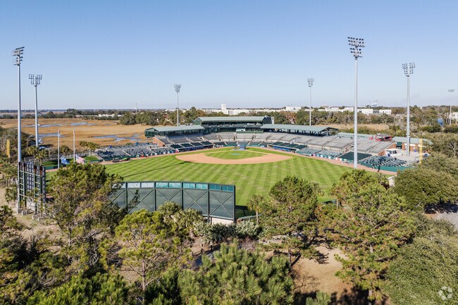 See a fun Charleston RiverDogs game at Joseph P. Riley, Jr. Park near Hampton Park Terrace.