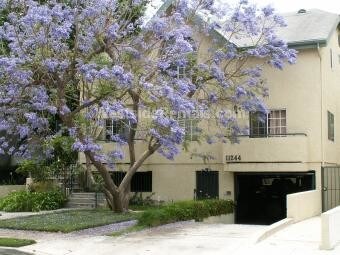 11244 Morrison Ave unit 3- 2nd floor, Valley Village, CA 91601 - photo 2