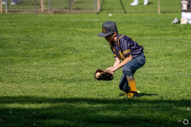Baseball is a popular sport at the local park in Alhambra Acres, California.