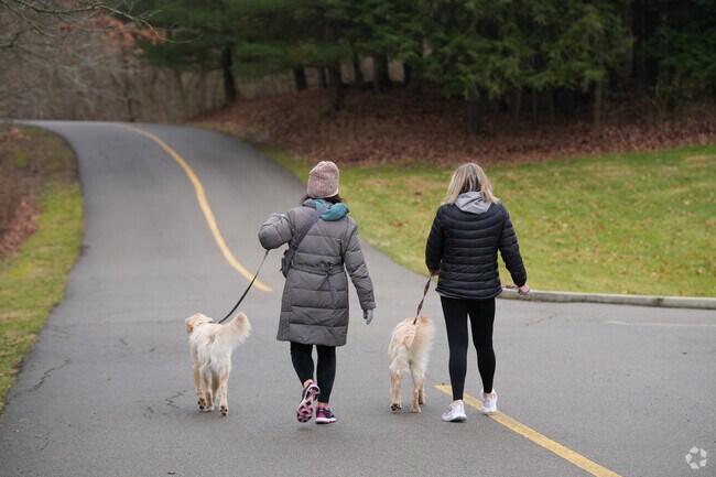 Bring your fury friend to the Mitchell Memorial Forest for a day of fun.
