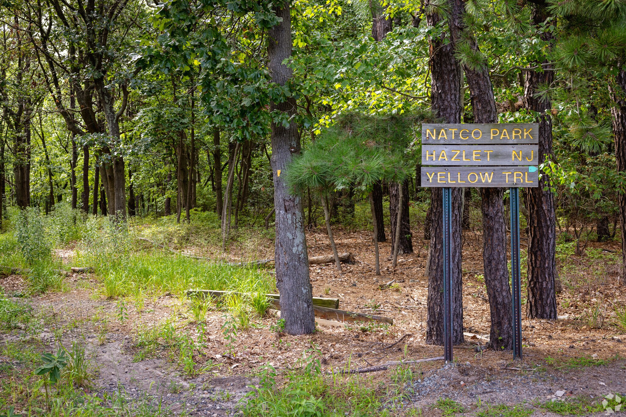 About Hazlet Schools, Demographics, Things to Do