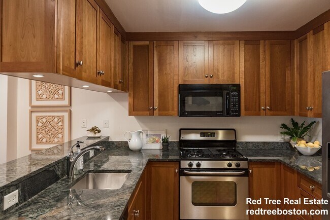14 Saint Paul St unit 1, Brookline, MA 02446 - photo 3