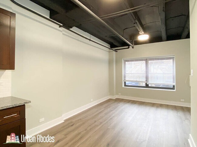 727 Saint Johns Ave unit A06C, Highland Park, IL 60035 - photo 5