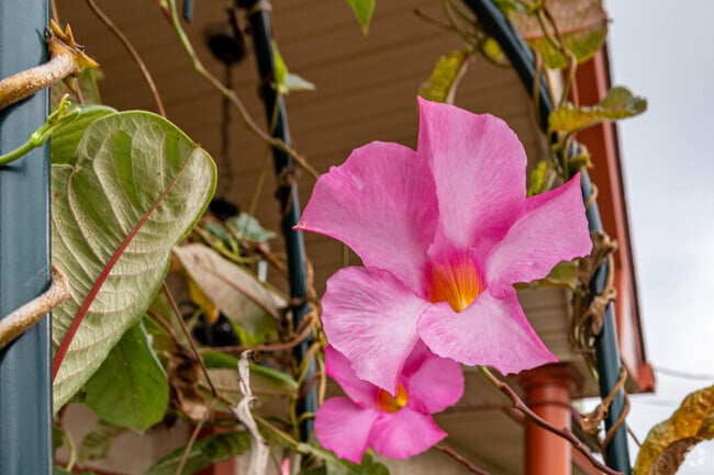Stop and smell the flowers in Clayton, NJ.