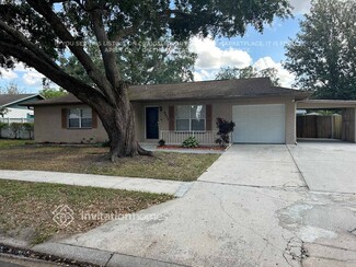 4822 Presidential St, Seffner, FL 33584