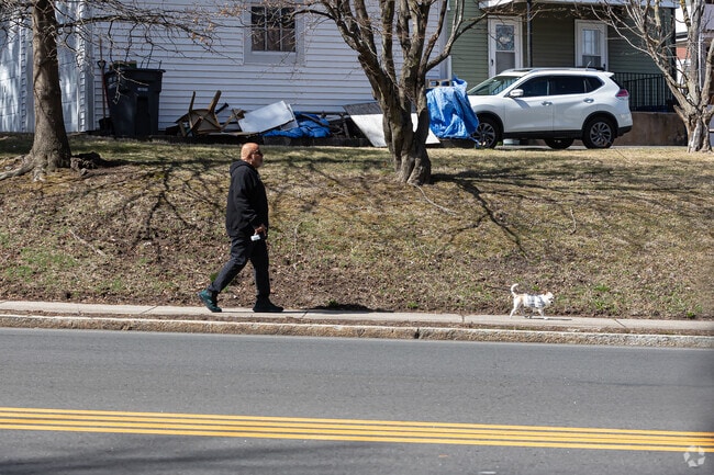 South West residents appreciate the many sidewalks for walking their dogs.
