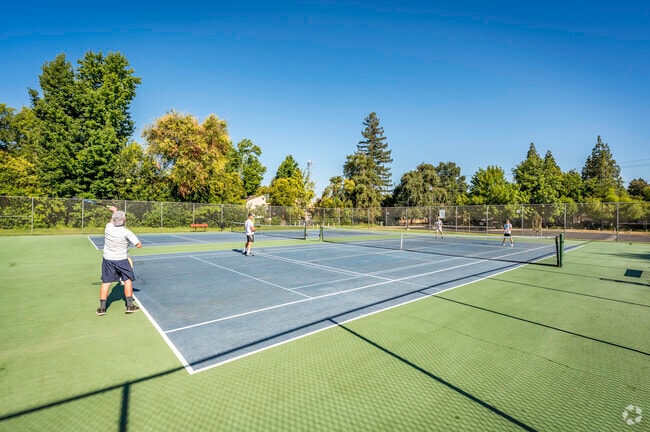 Challenge your retired buddies to a game of tennis in Northrup's Swanston Park.