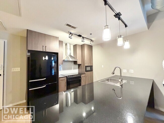 231 W Scott St unit 1, Chicago, IL 60610 - photo 3