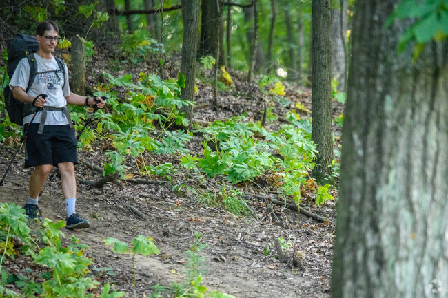 Hill N Brook has access to several parks and preserves, including Asylum Lake.